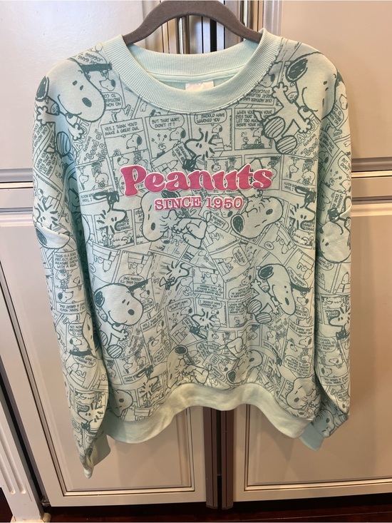 Peanuts Sweaters - Peanuts Snoopy Comic Mint Crewneck with Pink Accent Logo